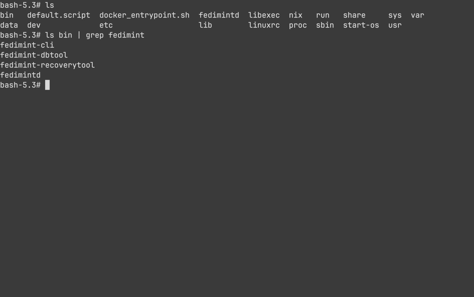 Fedimint container shell showing CLI tools