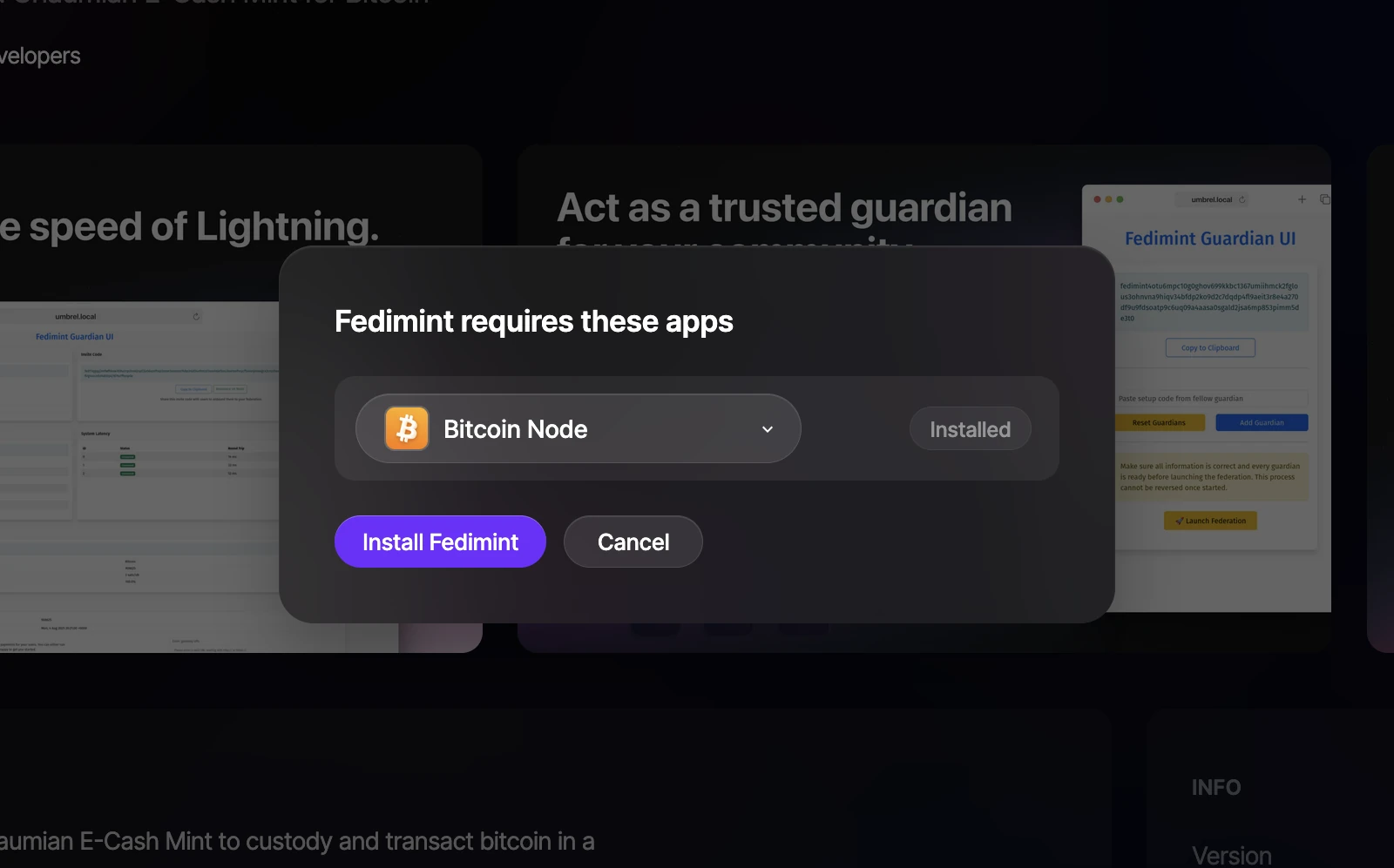 Dependency dialog showing Bitcoin Node is required