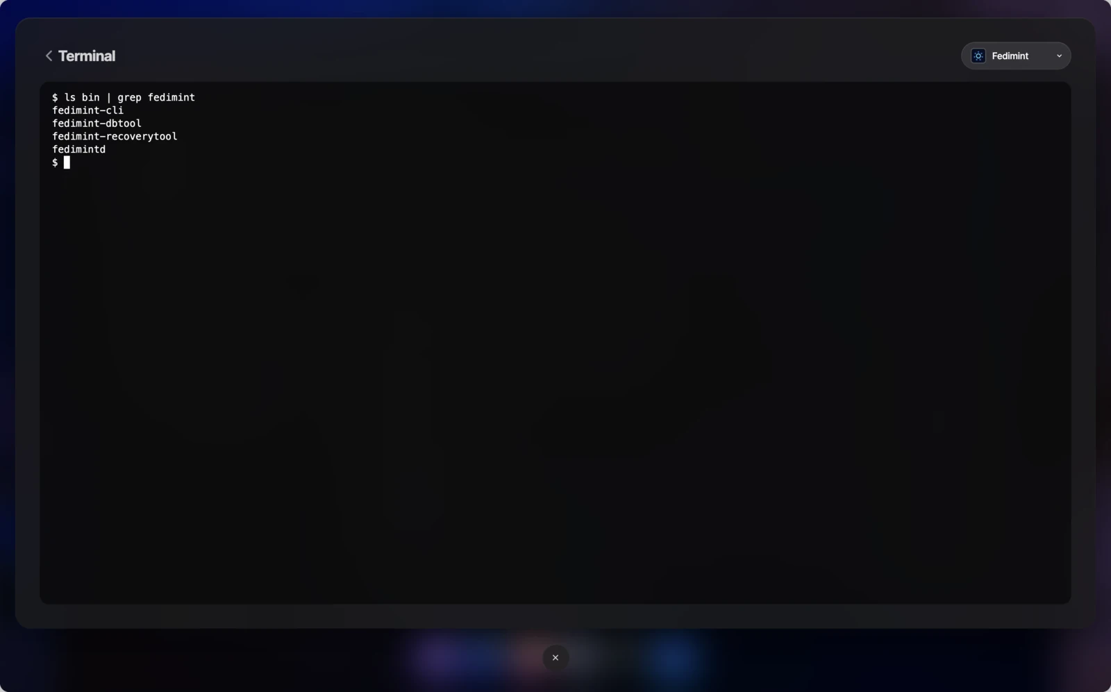 Fedimint container shell showing CLI tools