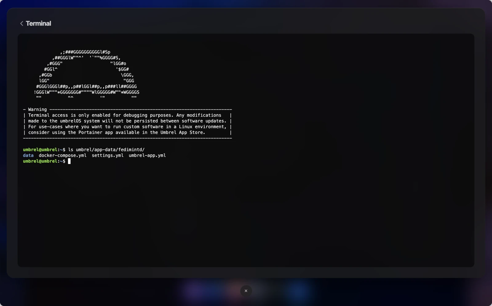 umbrelOS terminal showing Fedimint app data directory listing